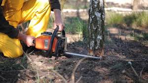 Best Leaf Removal  in Bruce, MS